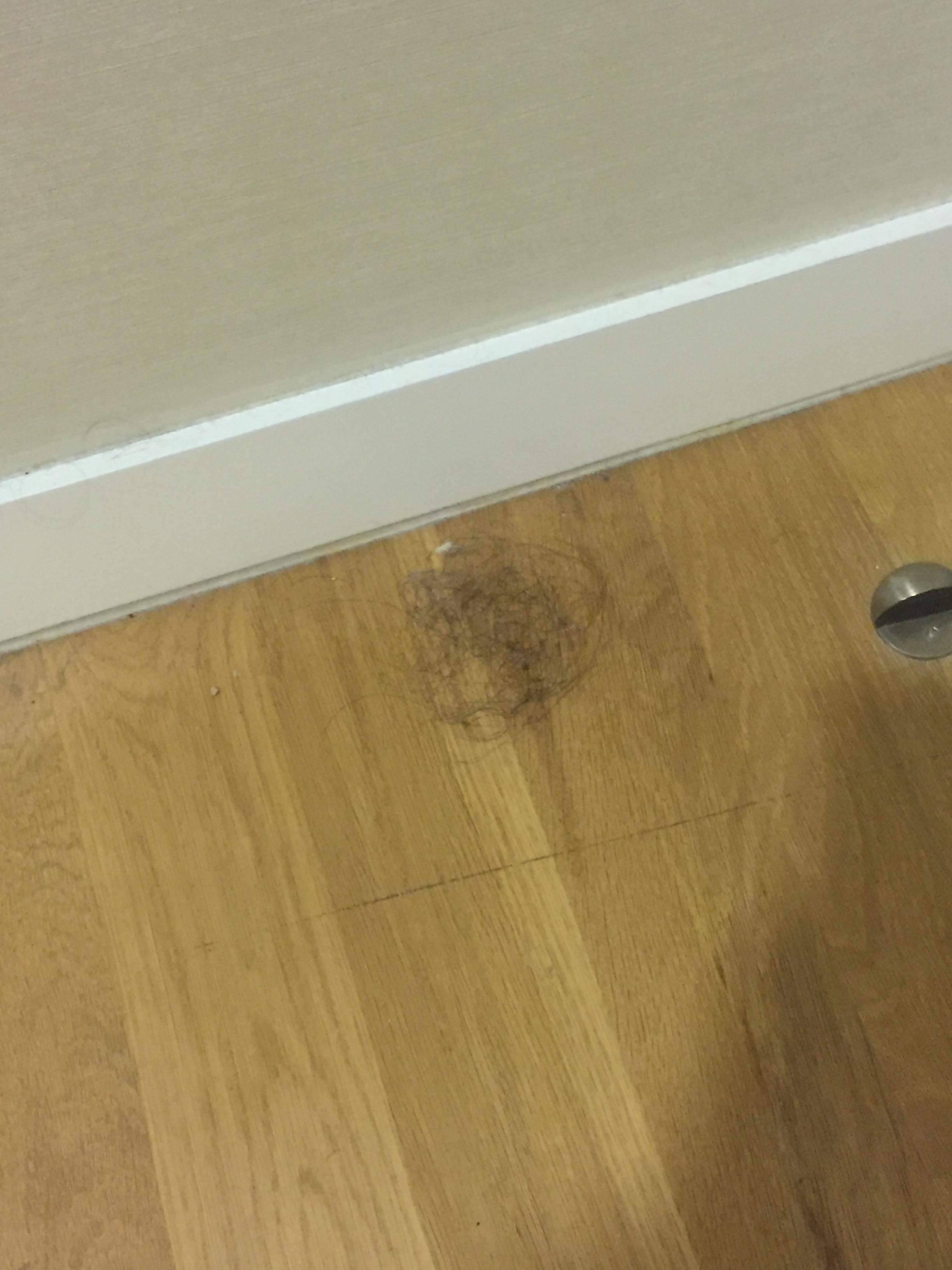 Hair on the floor...