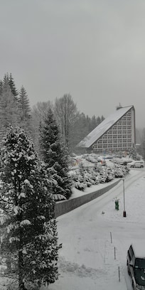 Widok z okna