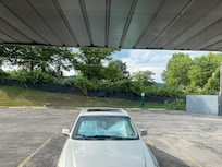 Small area for pets to use the bathroom