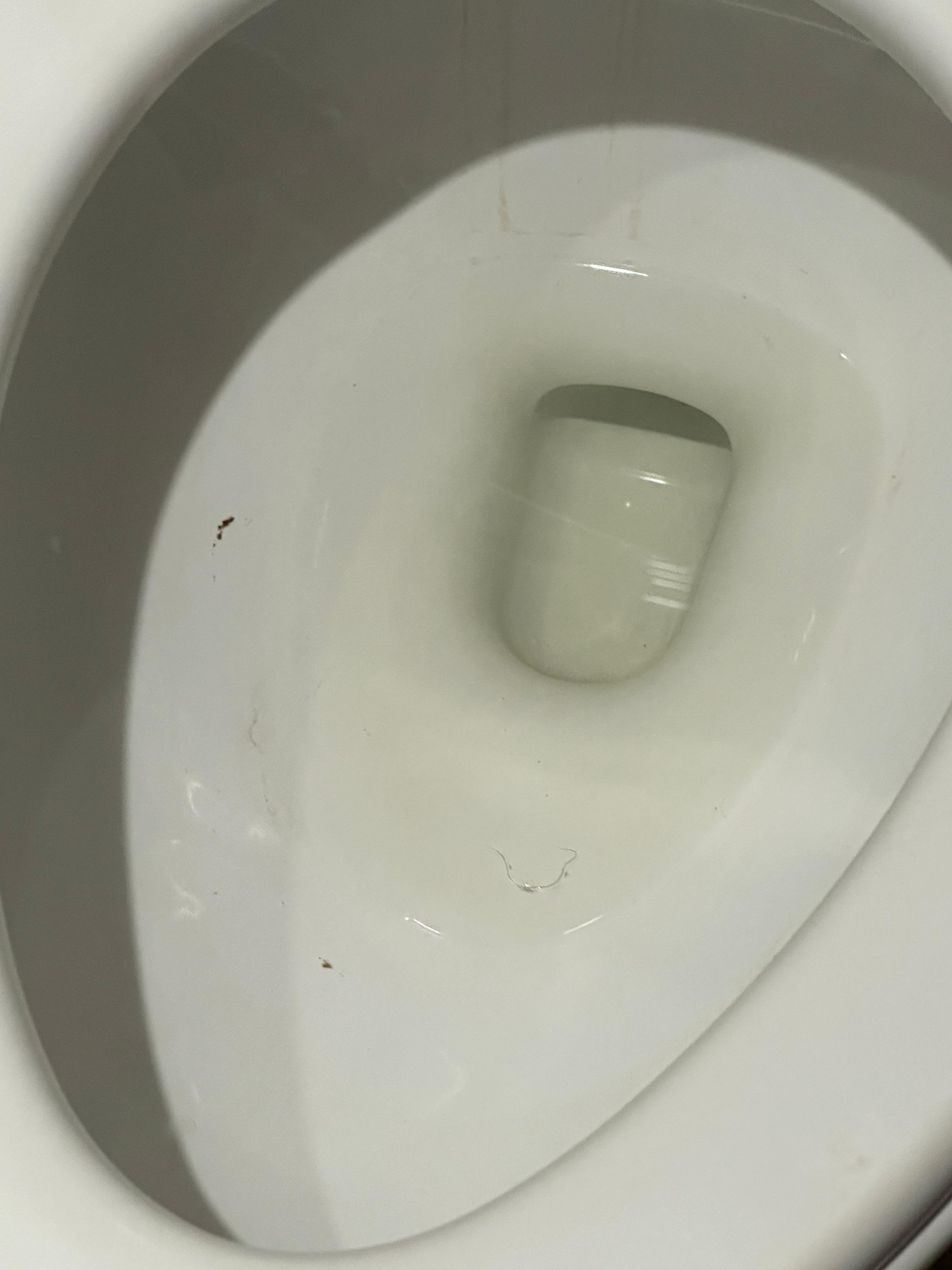 Dirty toilet 