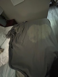 Looks like they bleached a stain out idk