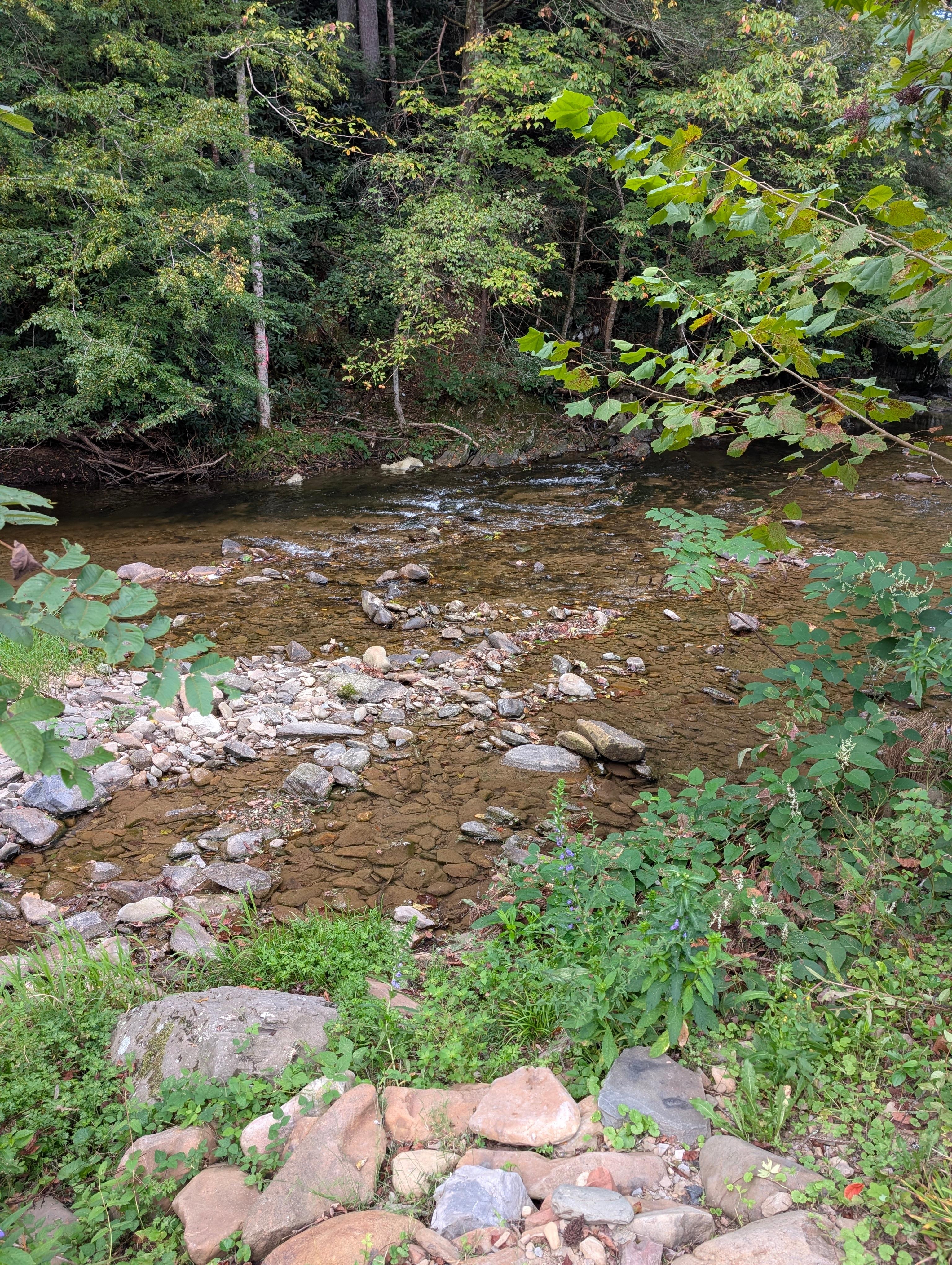 Back yard view. It's so pretty!