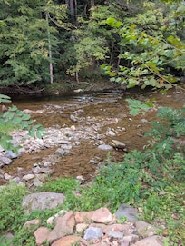 Back yard view. It's so pretty!