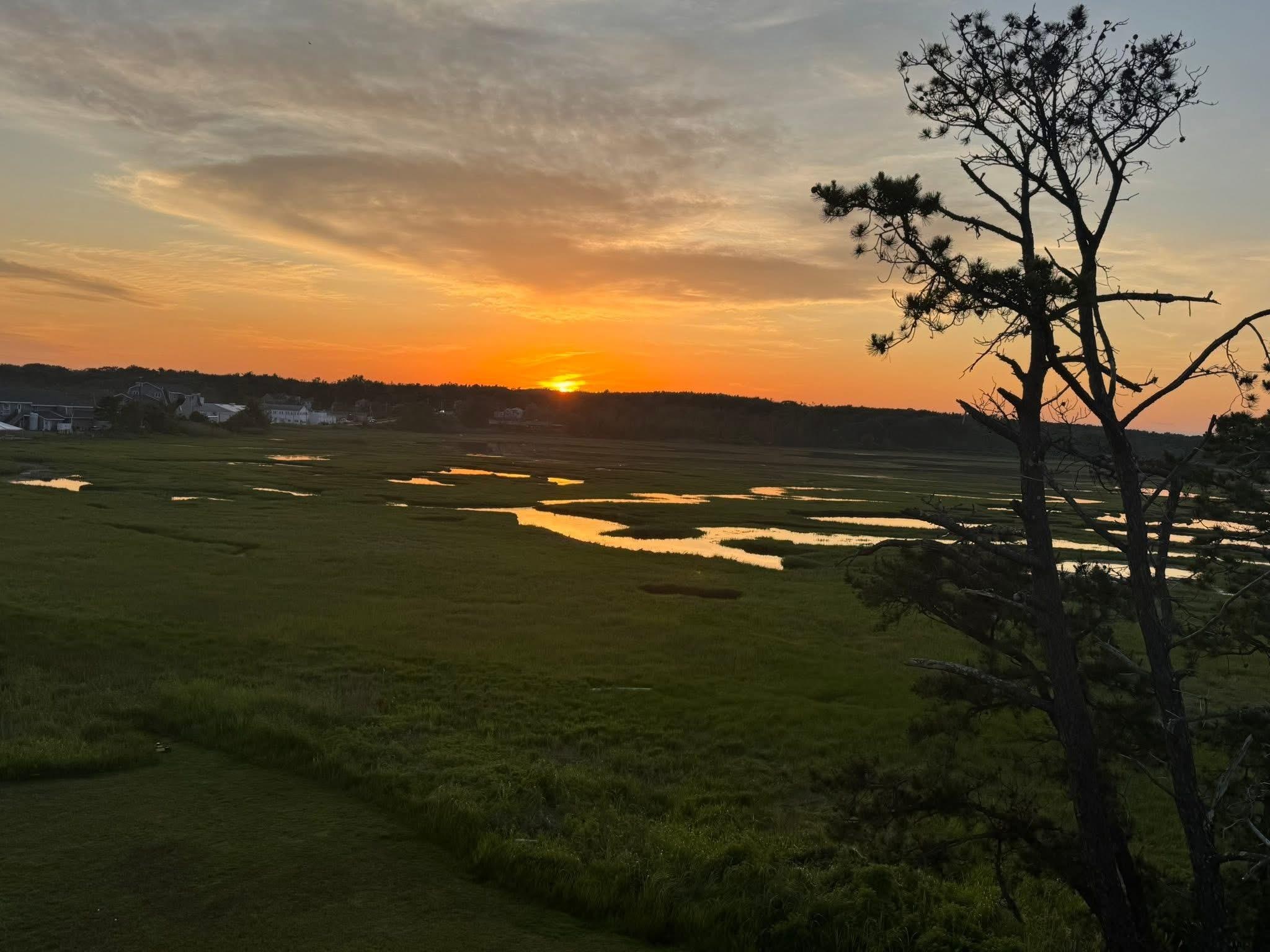 Beautiful view of the marsh from the rooftop deck at sunset.