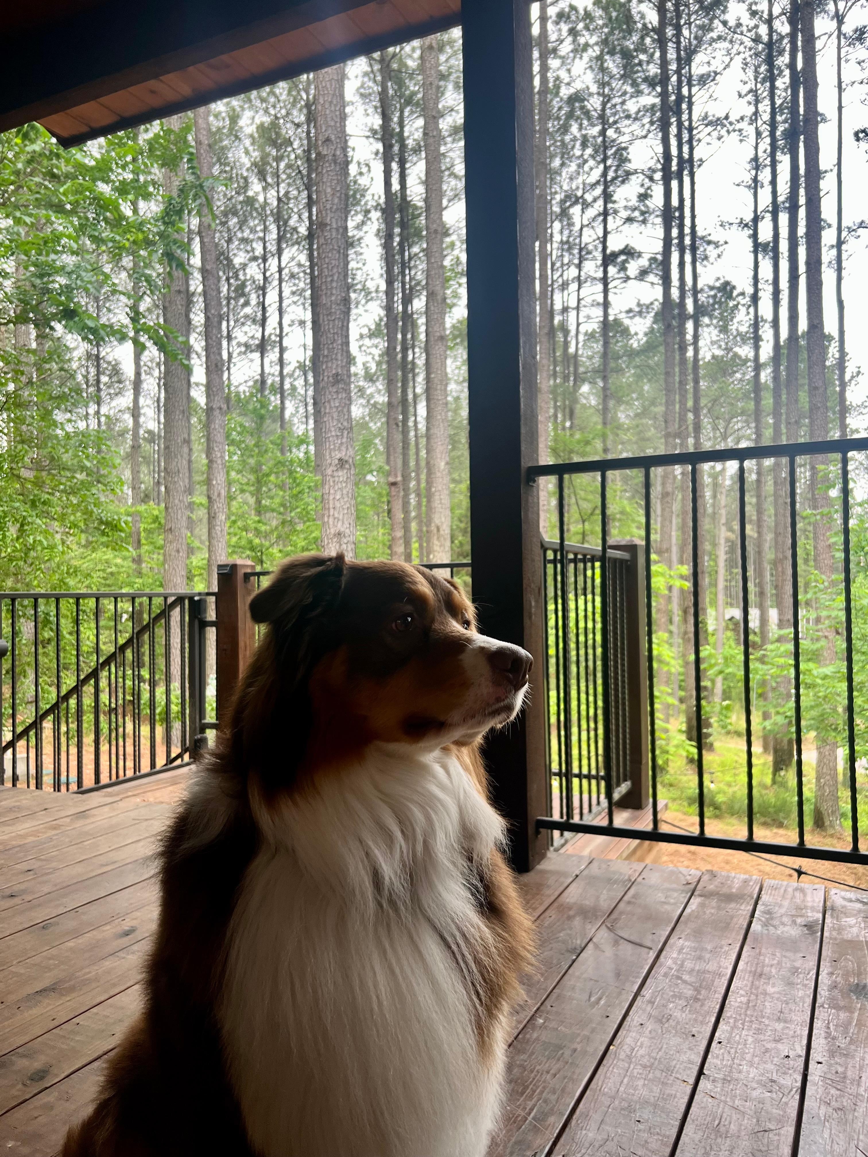 Spending time on the deck