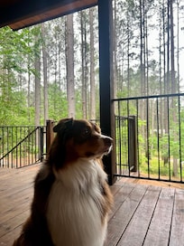 Spending time on the deck