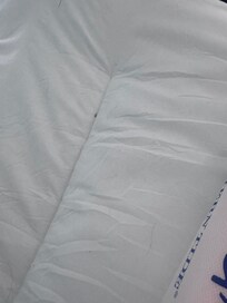 Ants on mattress topper in bedroom