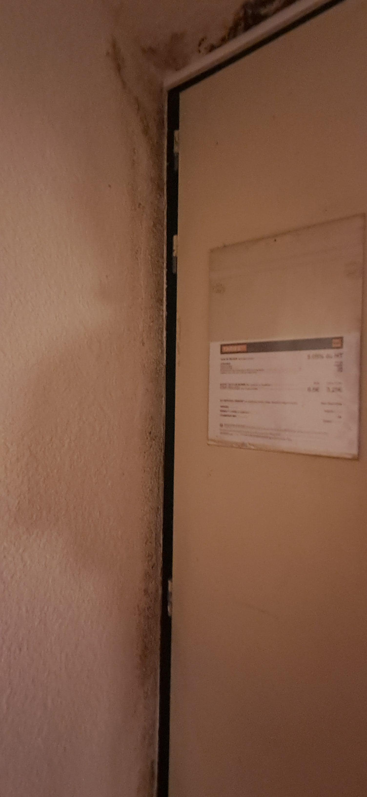 Moisi porte