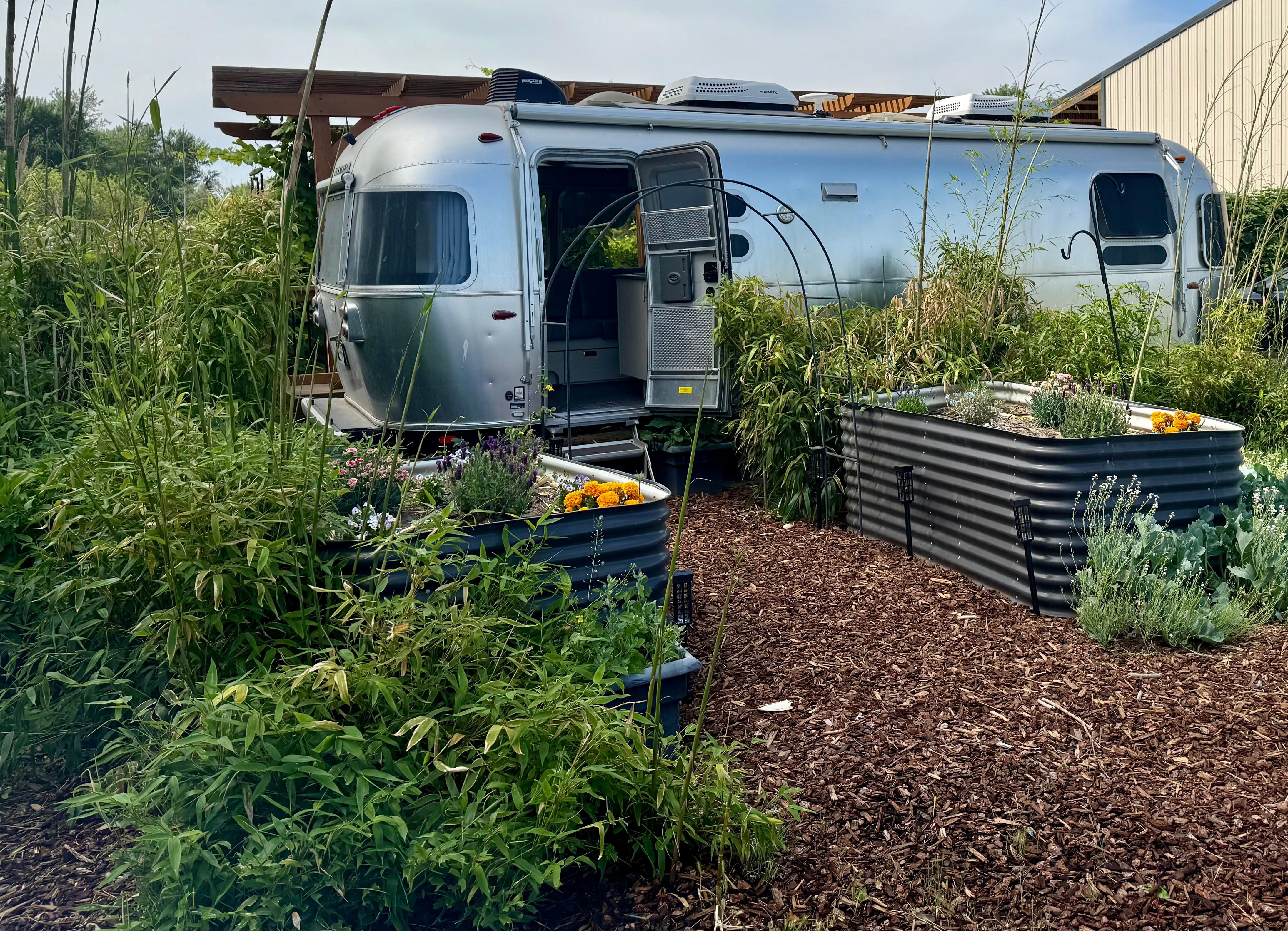 Surrounded by abundance. Major chill vibes!