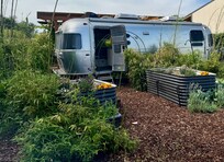 Surrounded by abundance. Major chill vibes!