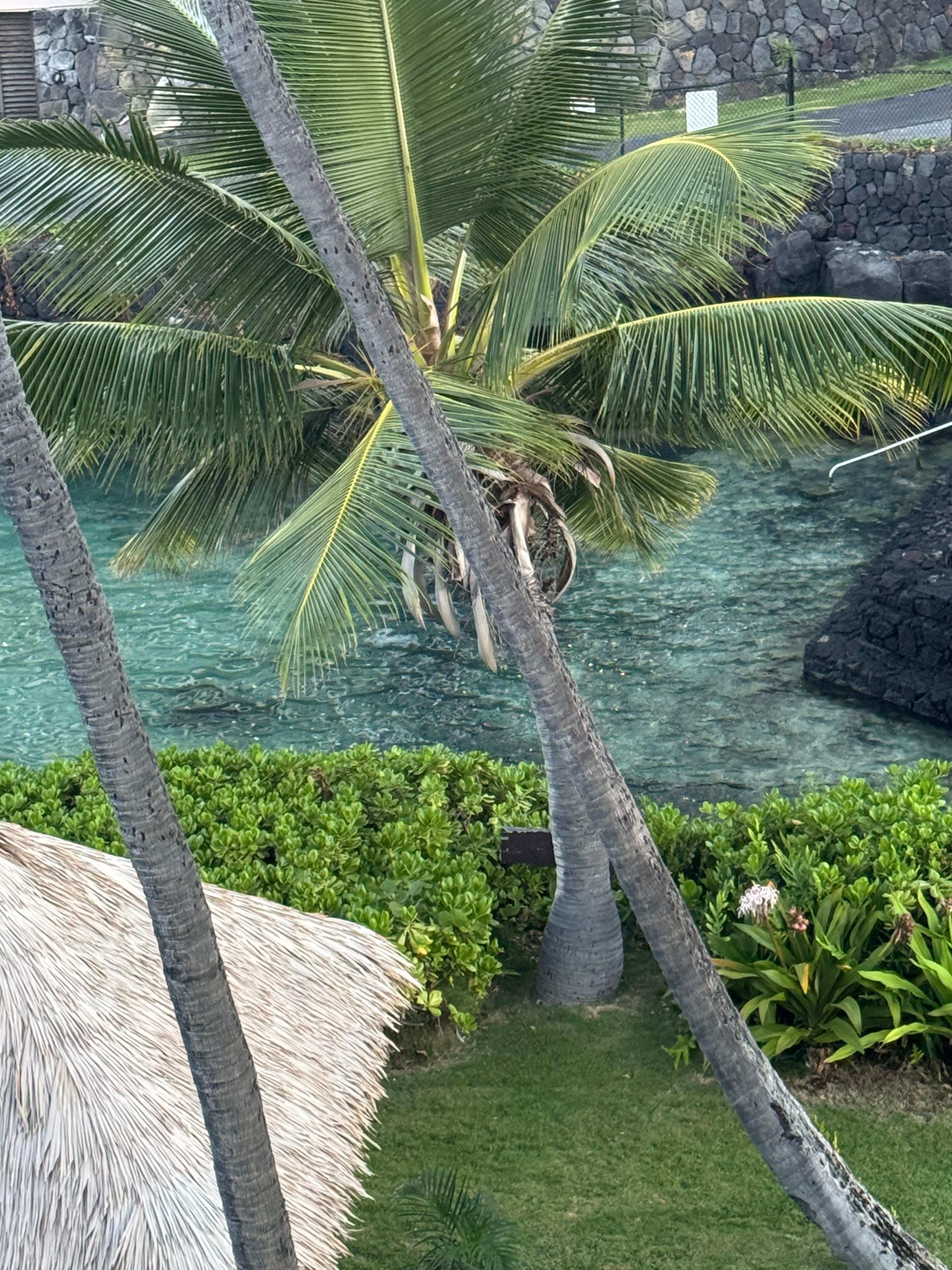 Lagoon view from Lanai
