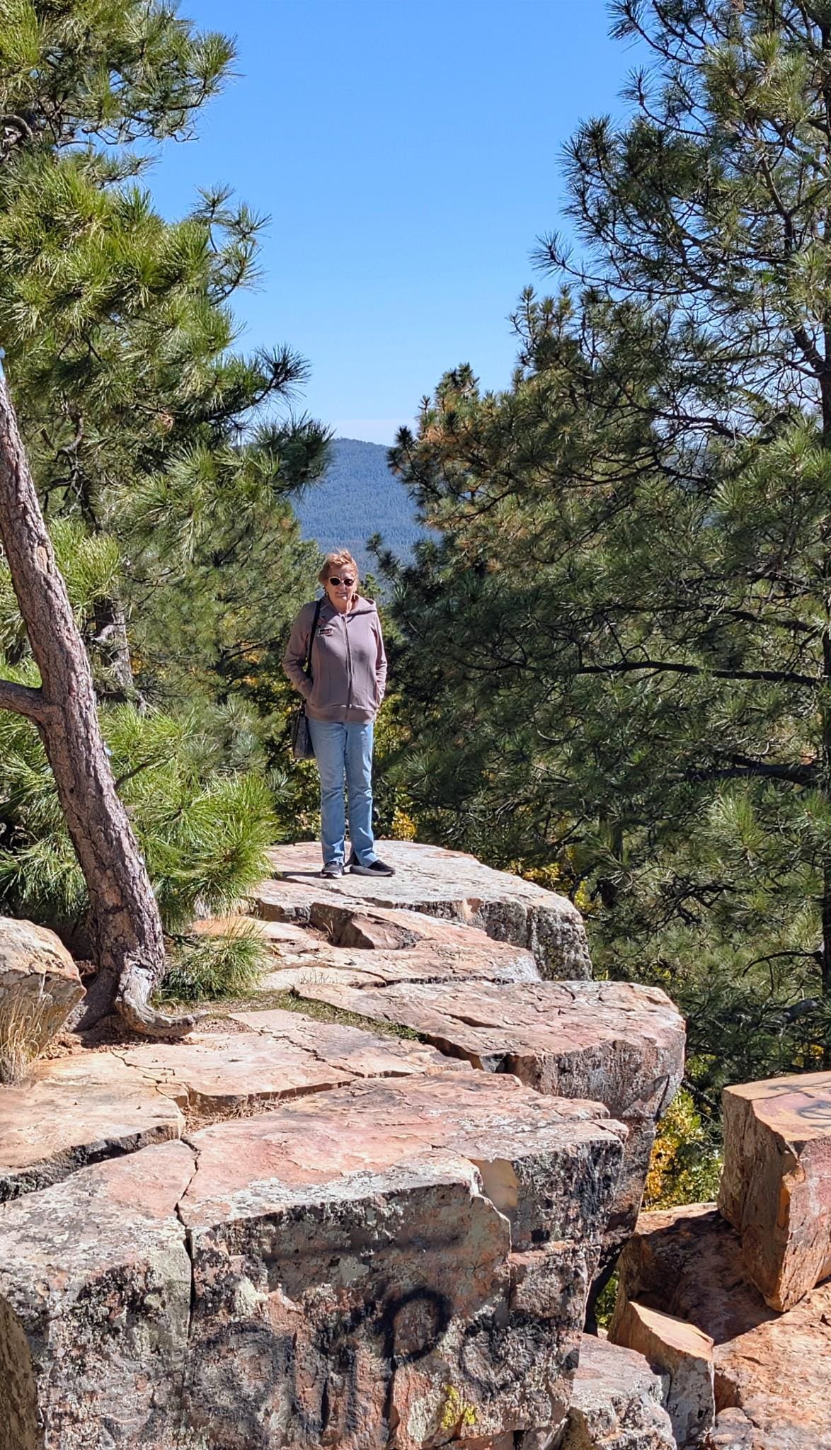Top of the Mogollon Rim 