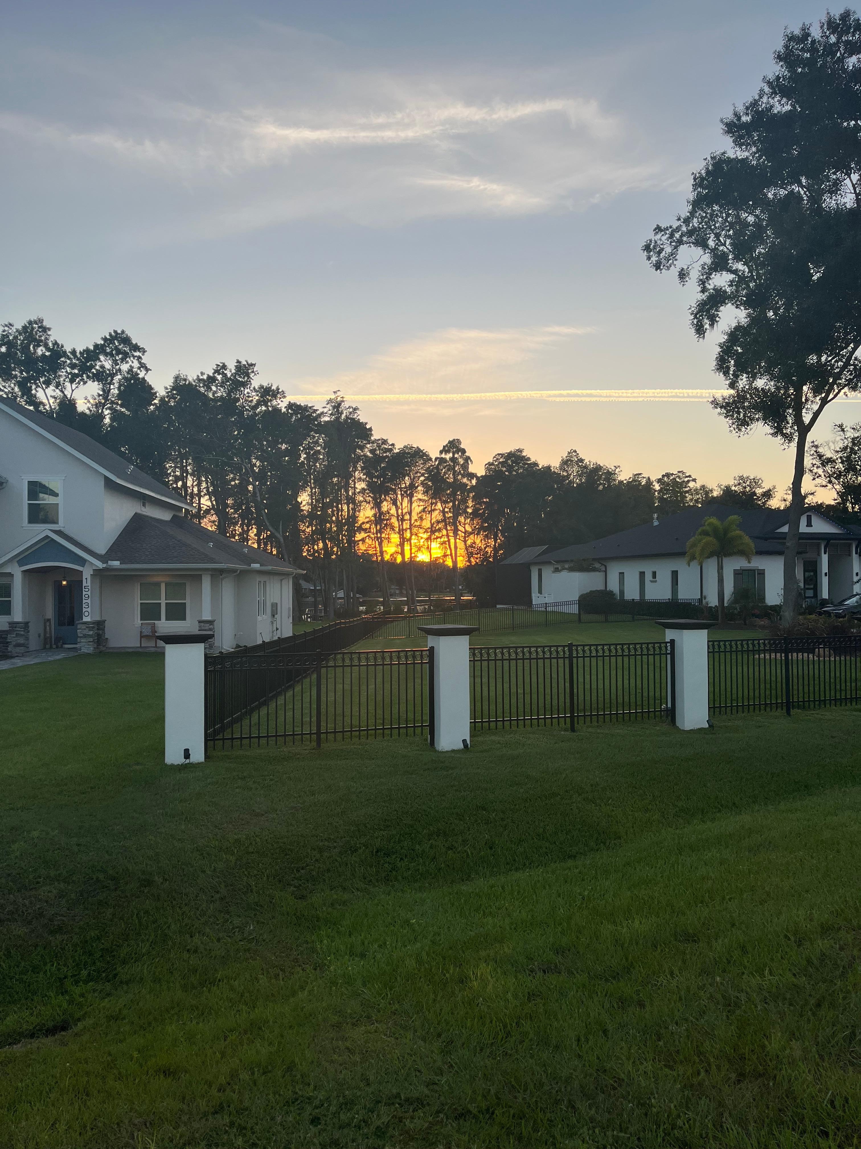 Out on a walk in the neighborhood 