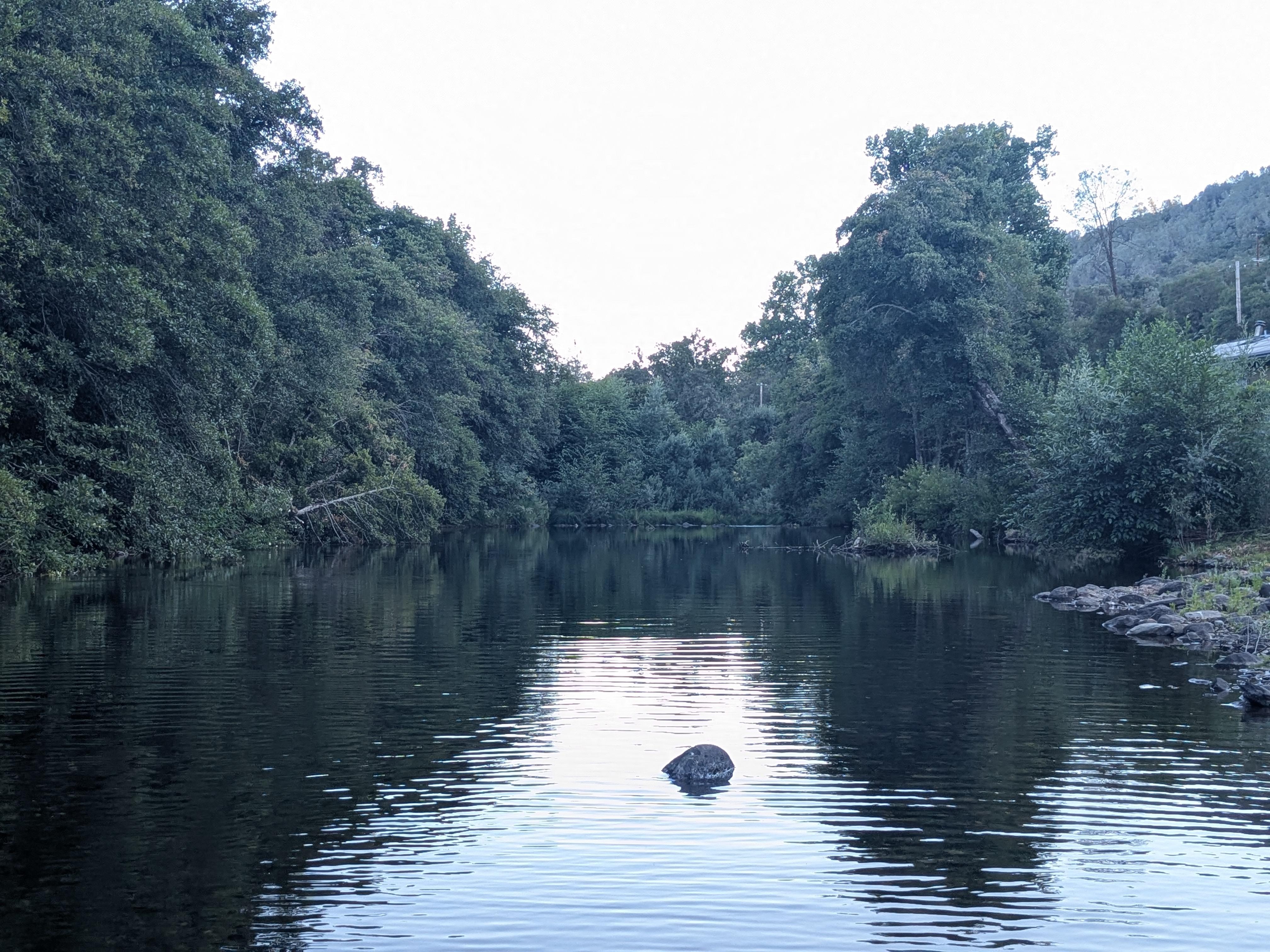 Floating in the river