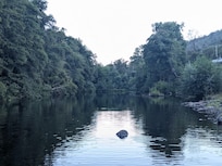 Floating in the river