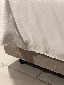 Springbox stained