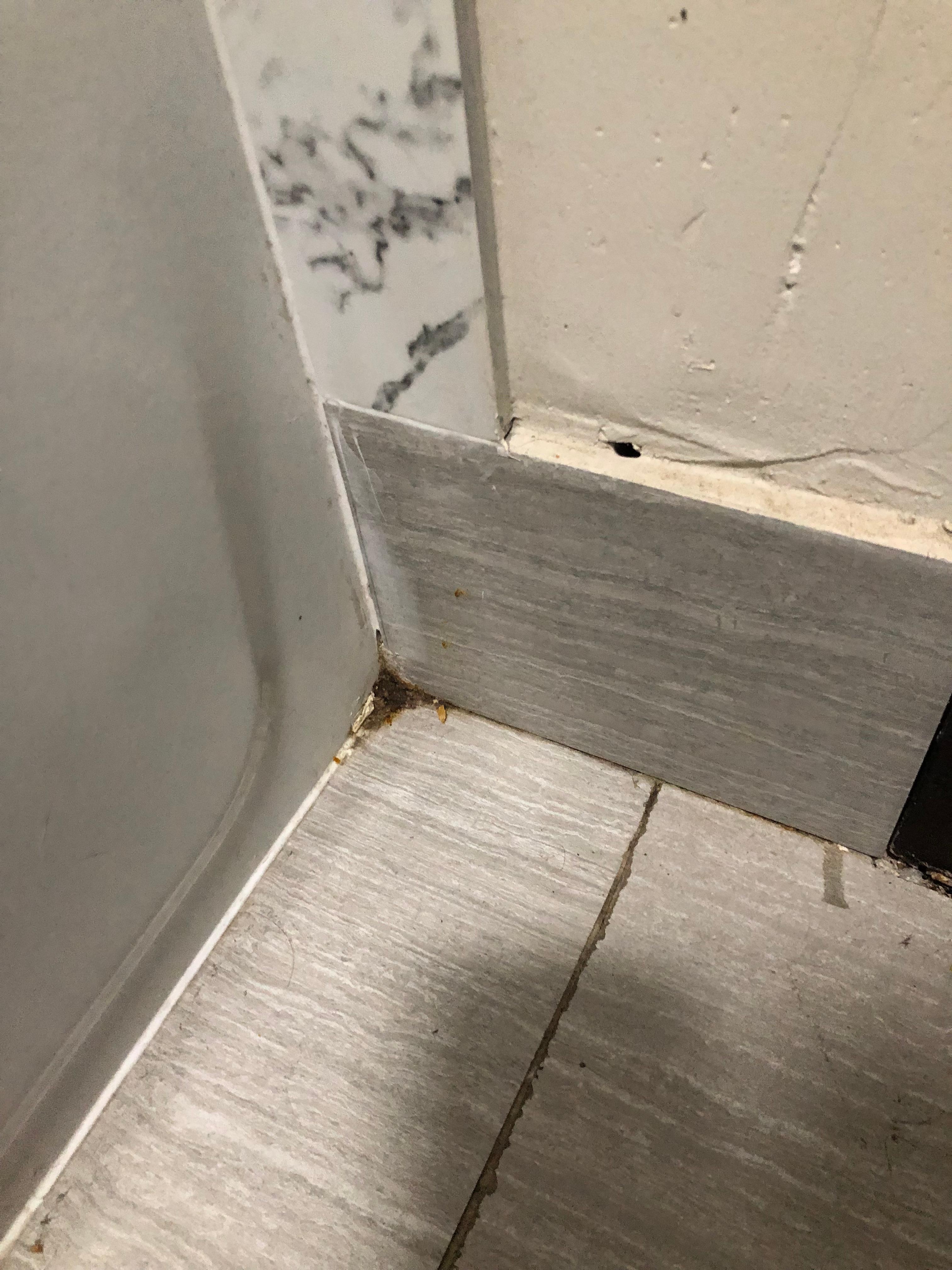 Corner in bathroom
