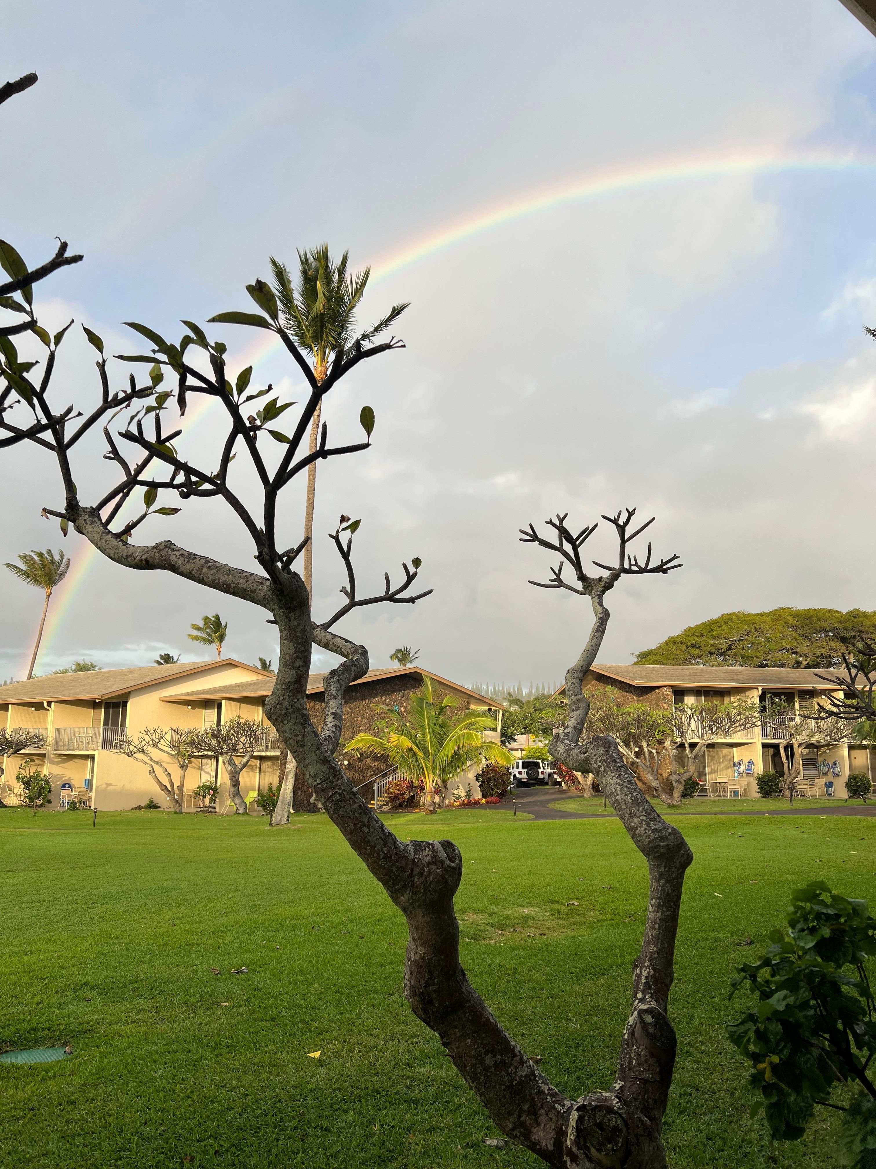View from the patio in the back. The rainbow was an expected bonus.