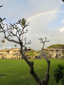View from the patio in the back. The rainbow was an expected bonus.