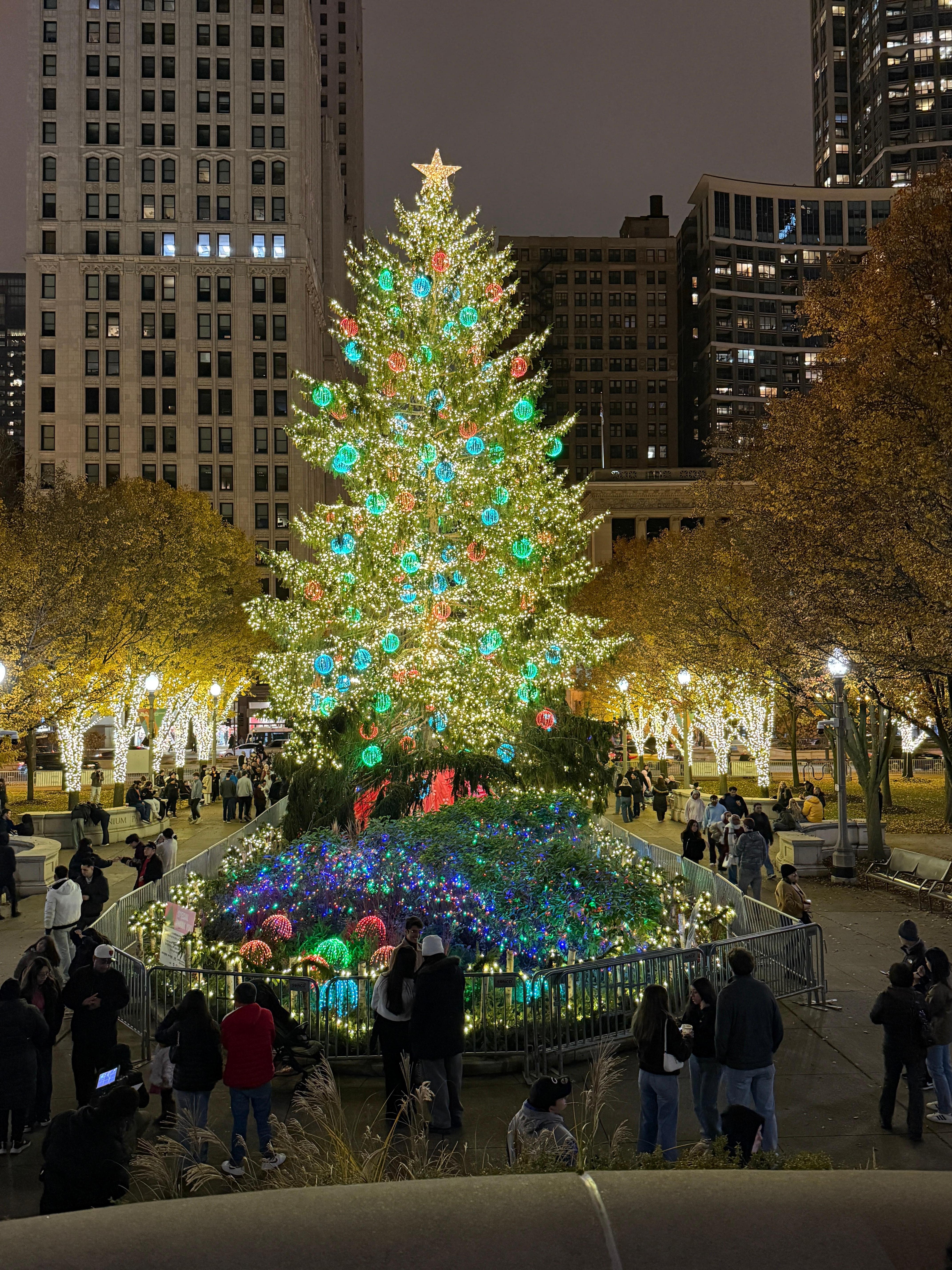Chicago Christmas tree at Mullenium Park.  We had a beautiful ight to walk around down Michigan Avenue and enjoy the Christmas lights.  Very nice visit