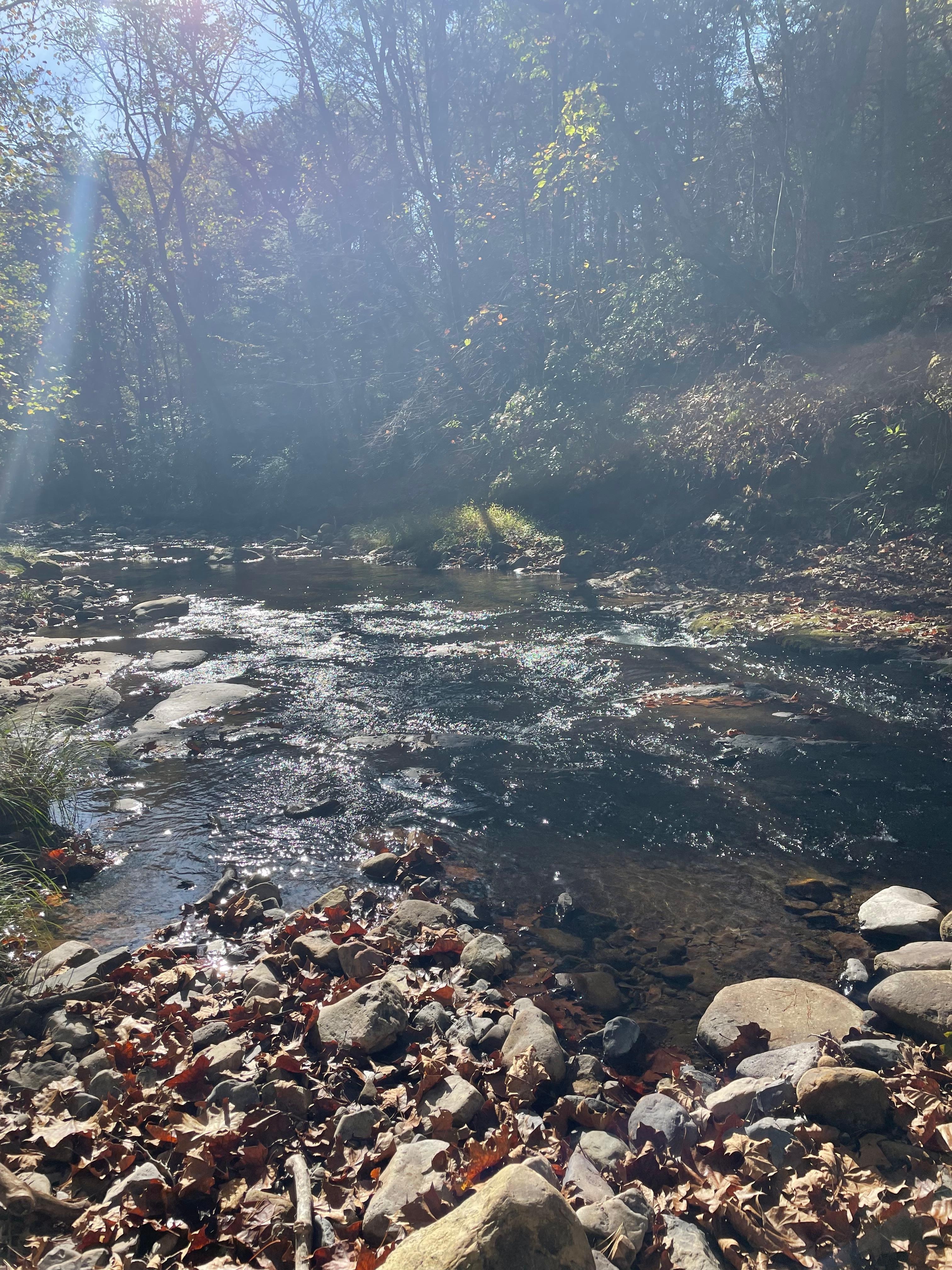 Running creek just feet from the cabin