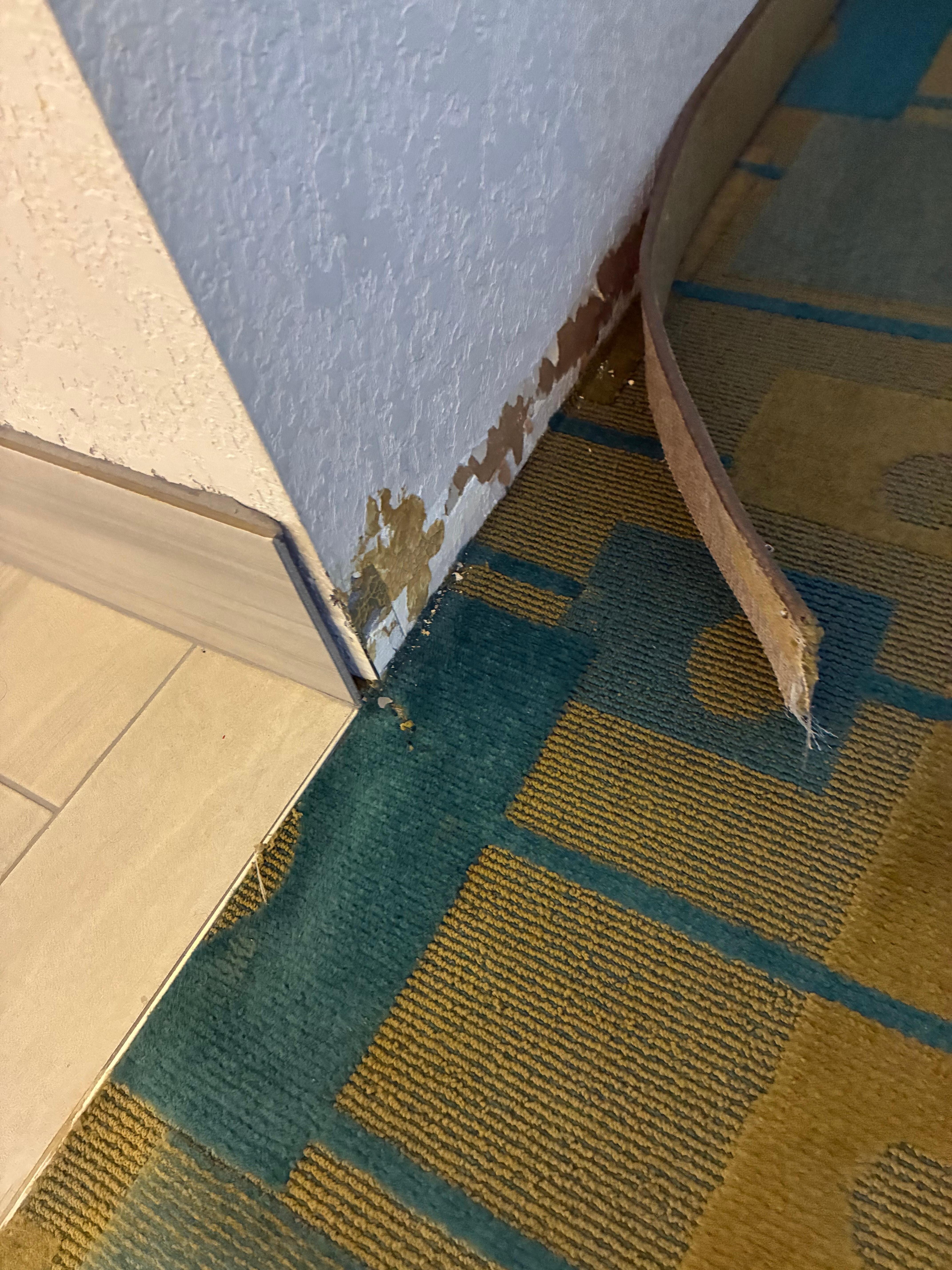 Room needs repair
