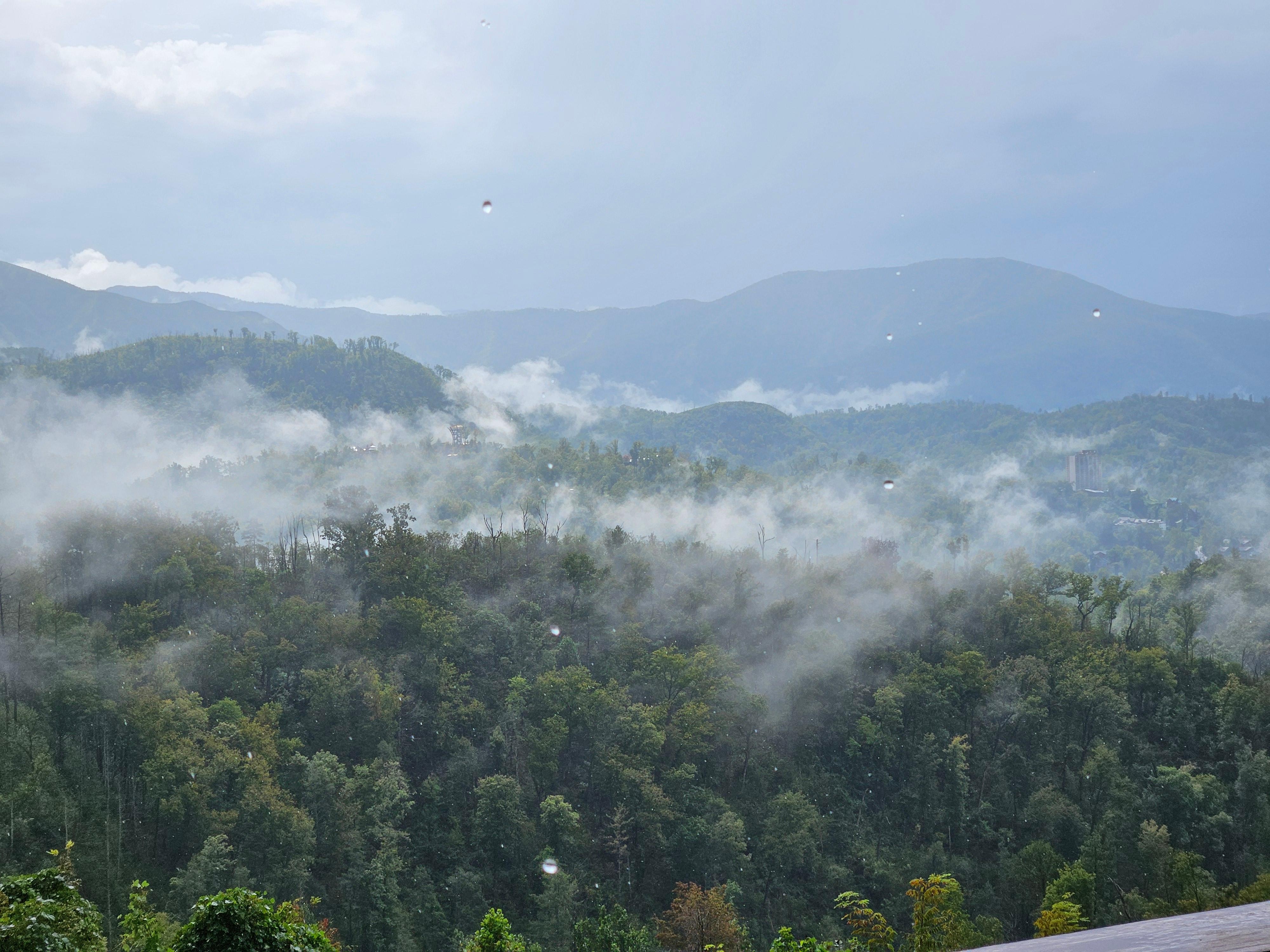 View from the balcony