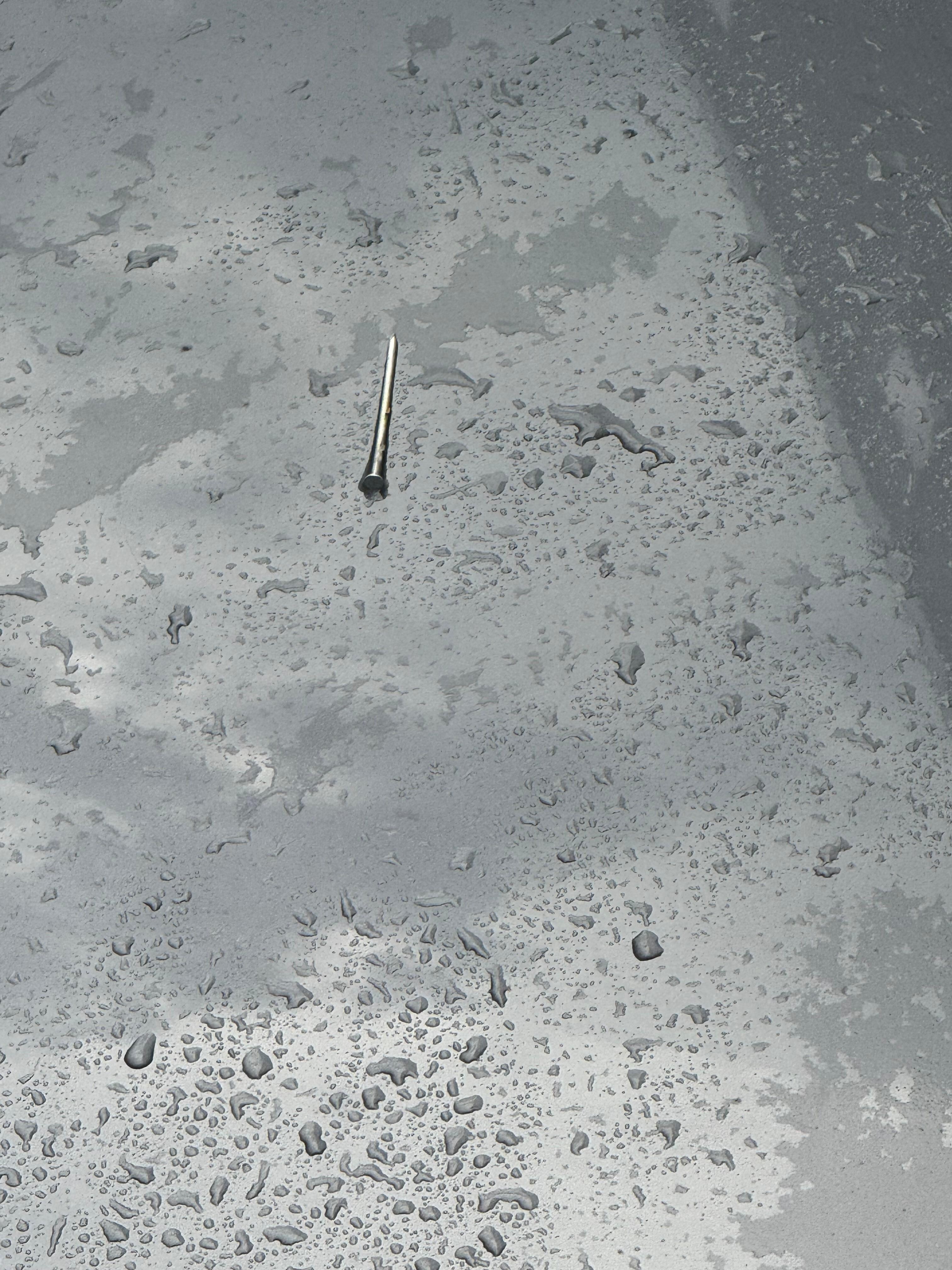 One of the many nails on my car