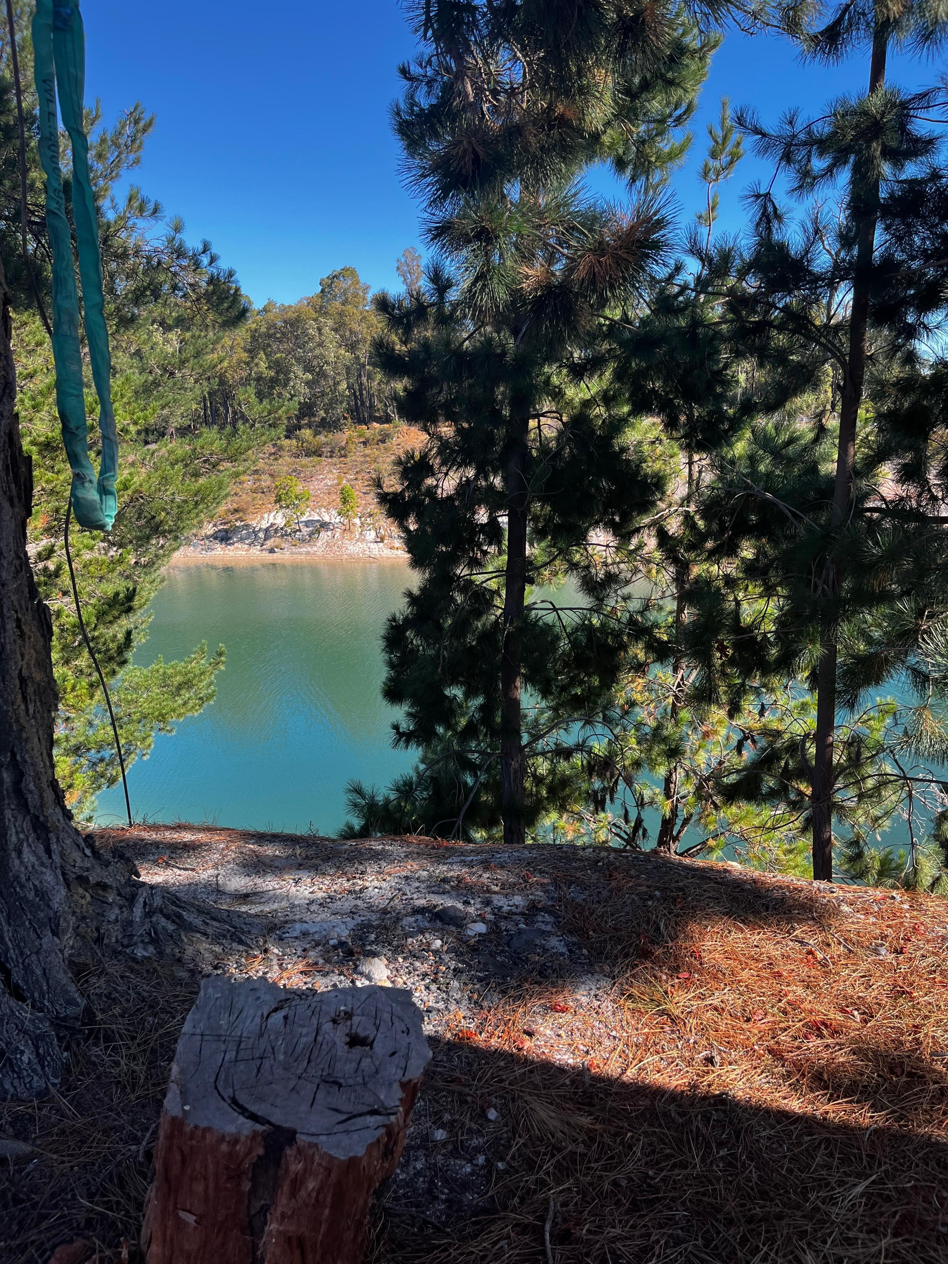 View from the hammock we brought 