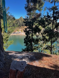 View from the hammock we brought