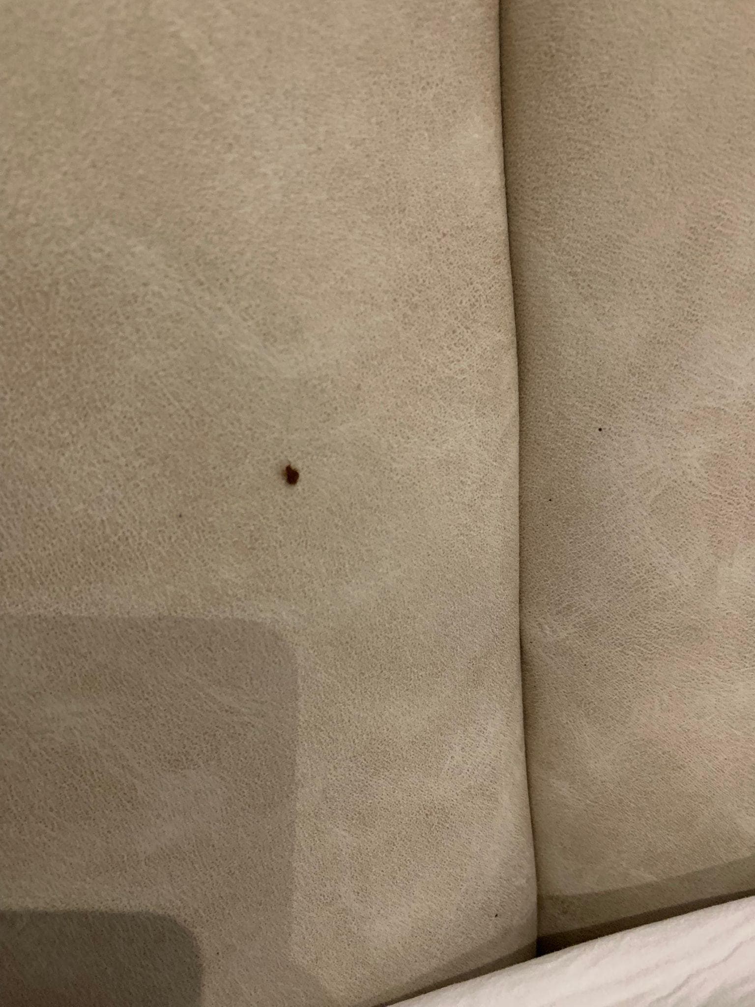 Paramızı vermediler