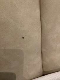 Paramızı vermediler