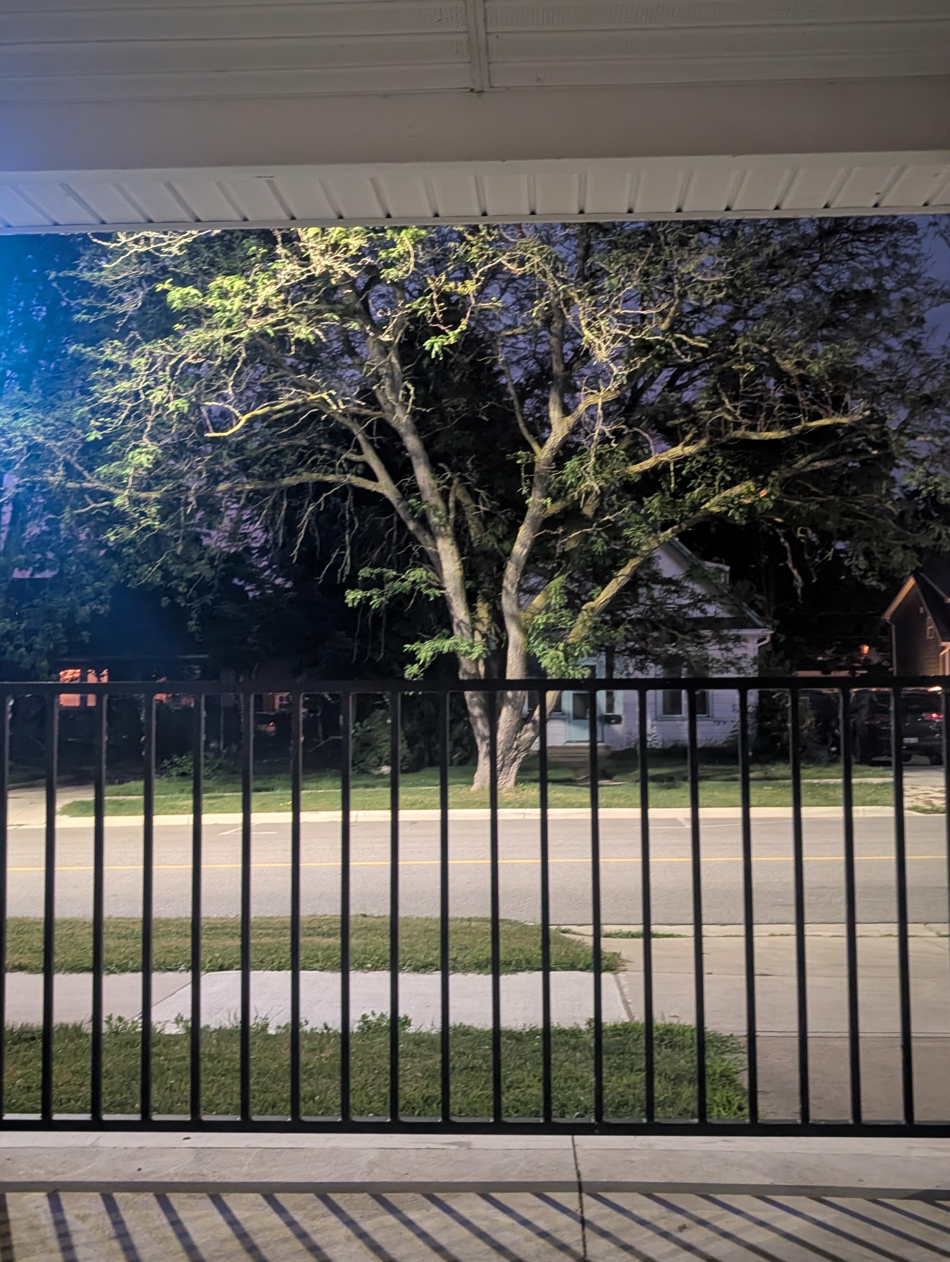 Porch view 