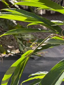 Lots of beautiful animals to see