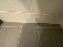 Mould around shower
