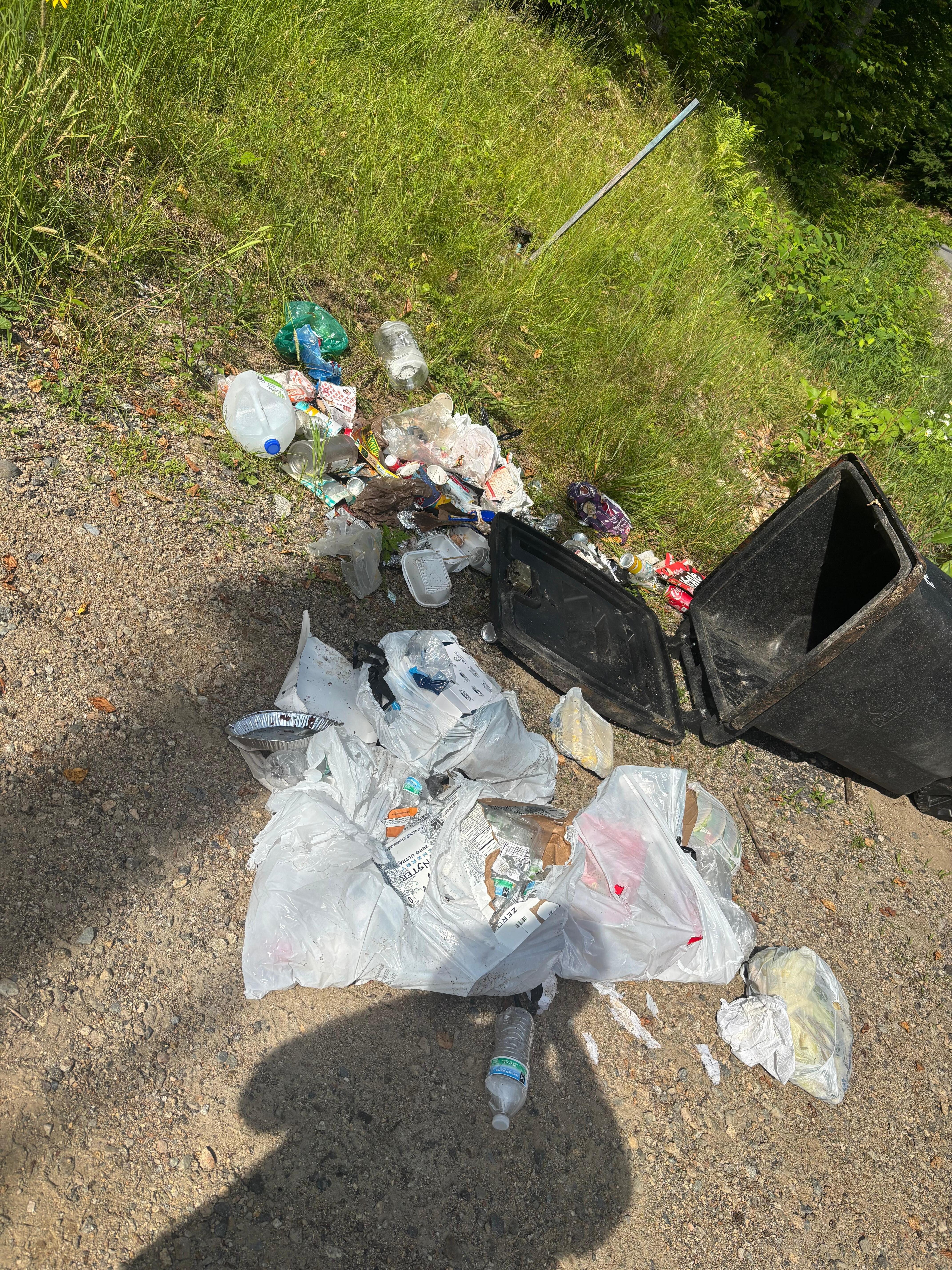 Trash we had to pick up