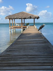 Dock and gazebo setup on a calm morning