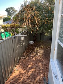 Lack of maintenance where the tree has grown into the outside clothesline.