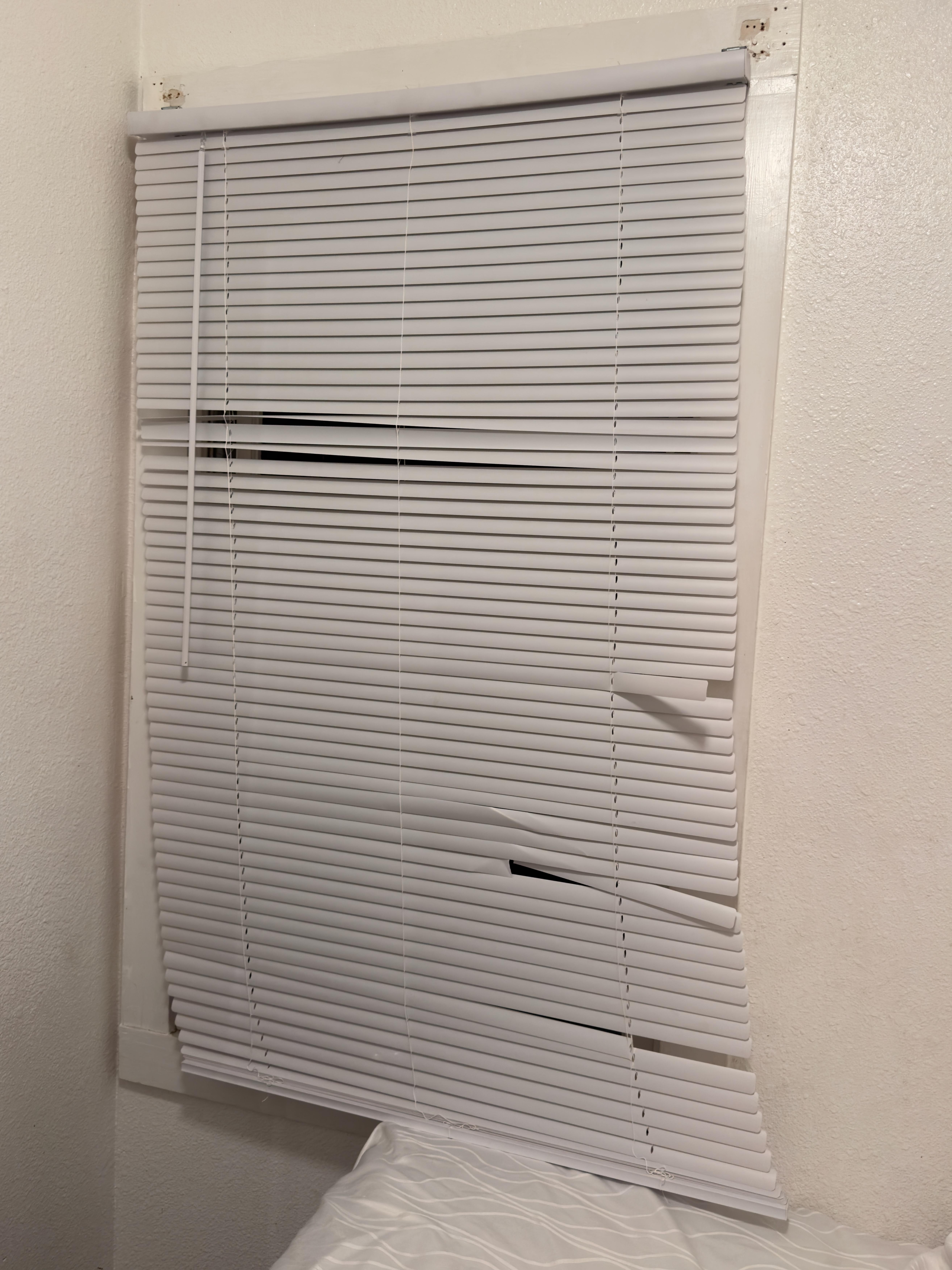 another broken window