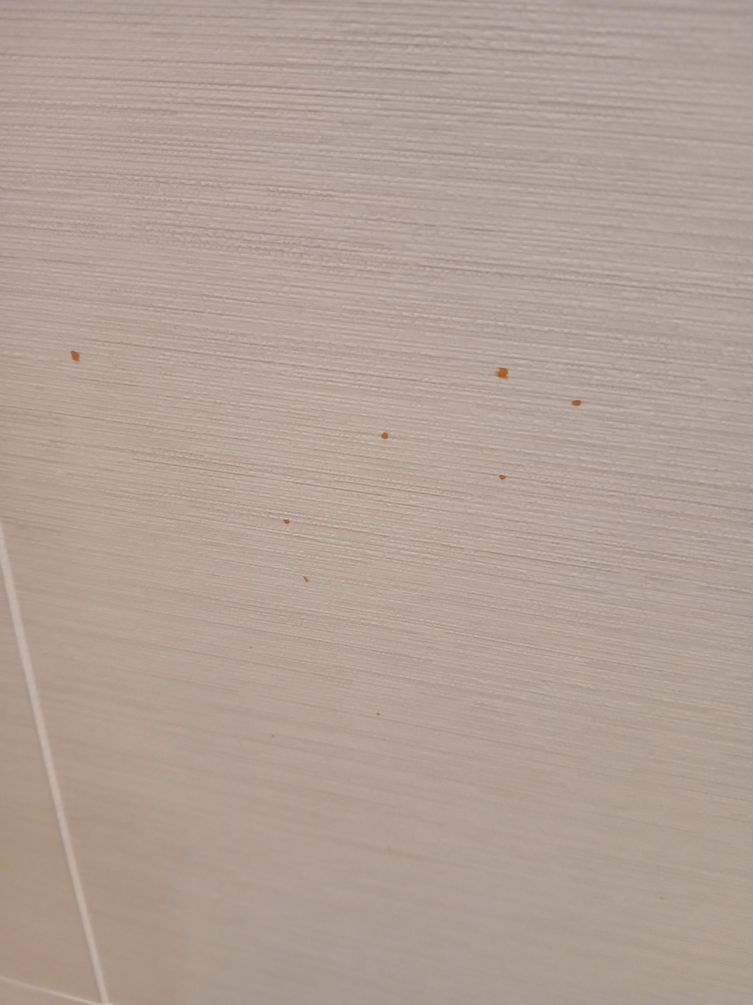 Blodstänk på väggen i badrummet?