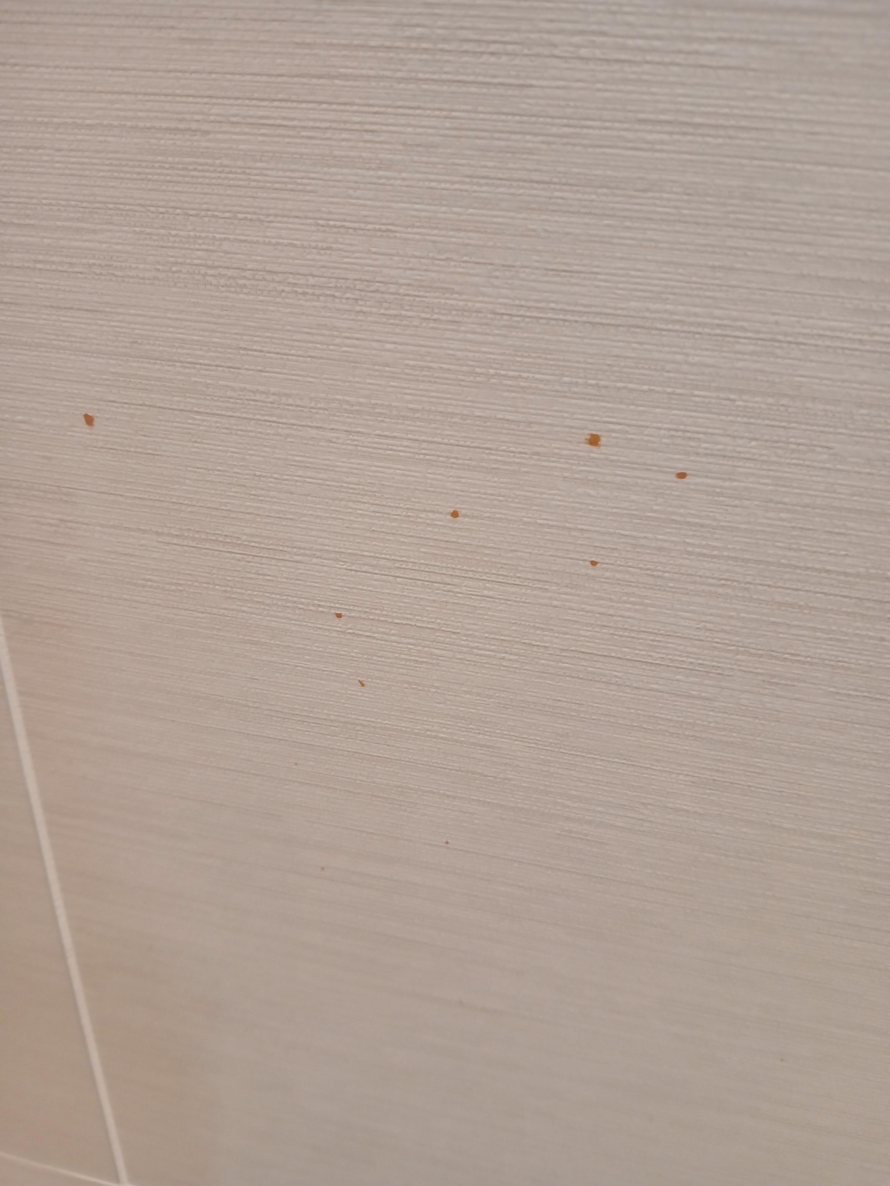 Blodstänk på väggen i badrummet?