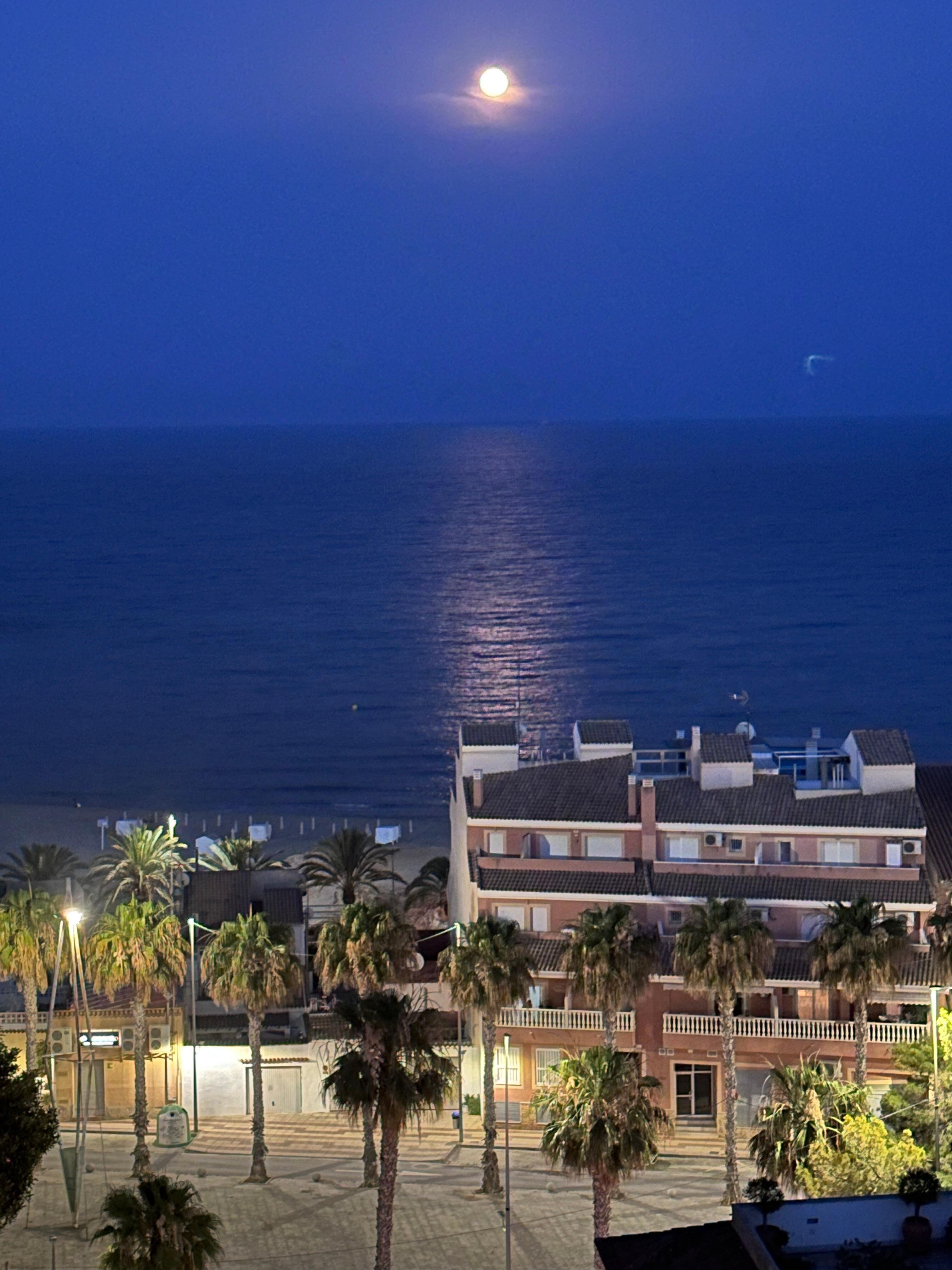 The night time view