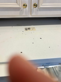 Top of refridgerator