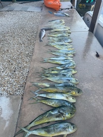 One day fishing trip