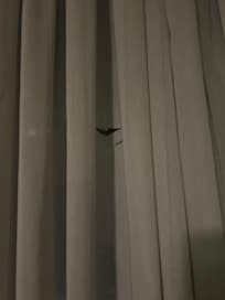 Tear in curtain.