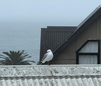 Kitchen view in rain