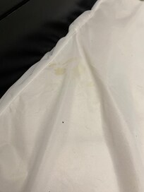 Also mattress cover stained with what looks like pee.