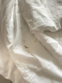 Les draps étaient tellement salles