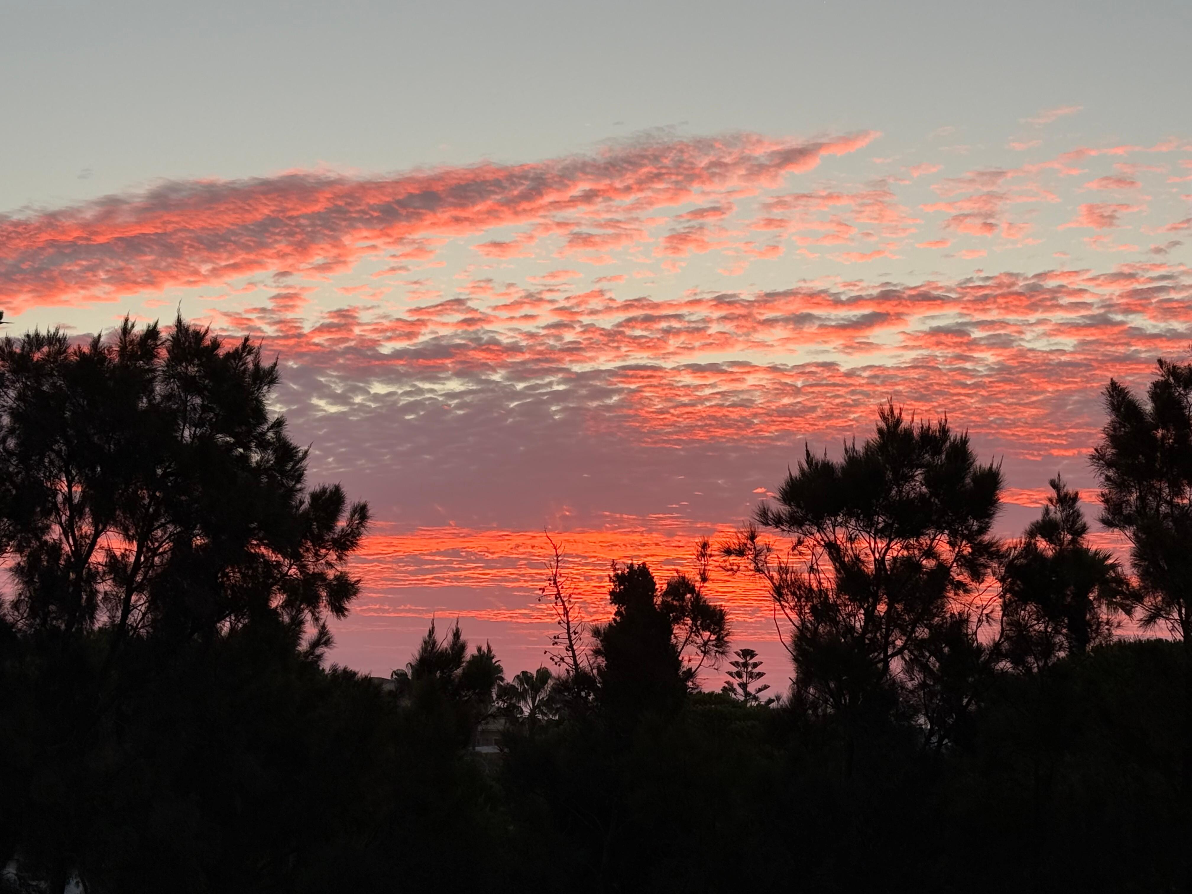 Sunrise every morning from our room 