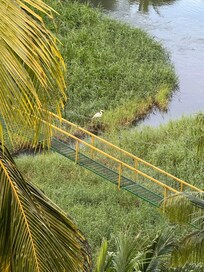 Looking down over the wetlands!